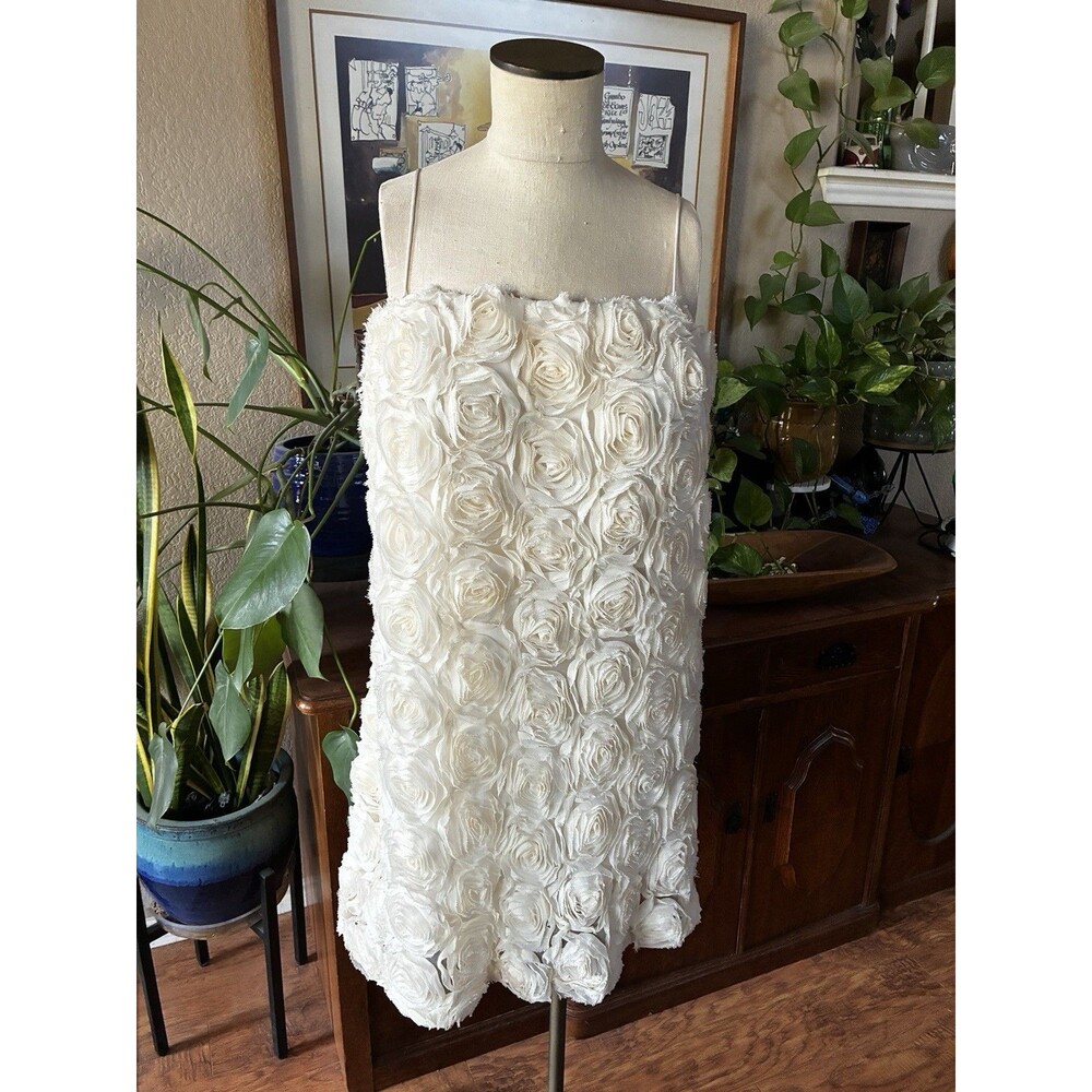 Sunday in Brooklyn Anthropologie Tessie Rose Textured Mini Dress Sz Large